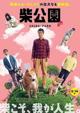 伊人在线视频观看