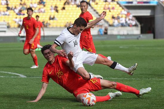 含羞草实验研究所入口免费网站直接进入