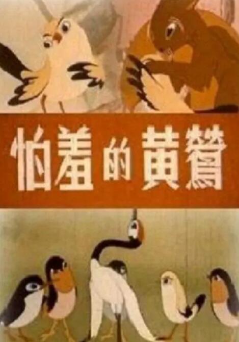 国外免费精品视频在线观看