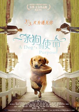 国产精品成人久久久