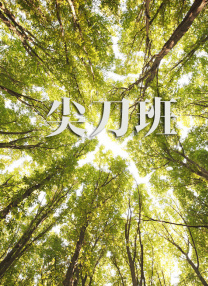 嘘！没有想象