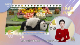 拜见妻子